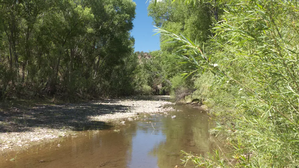 Blue River