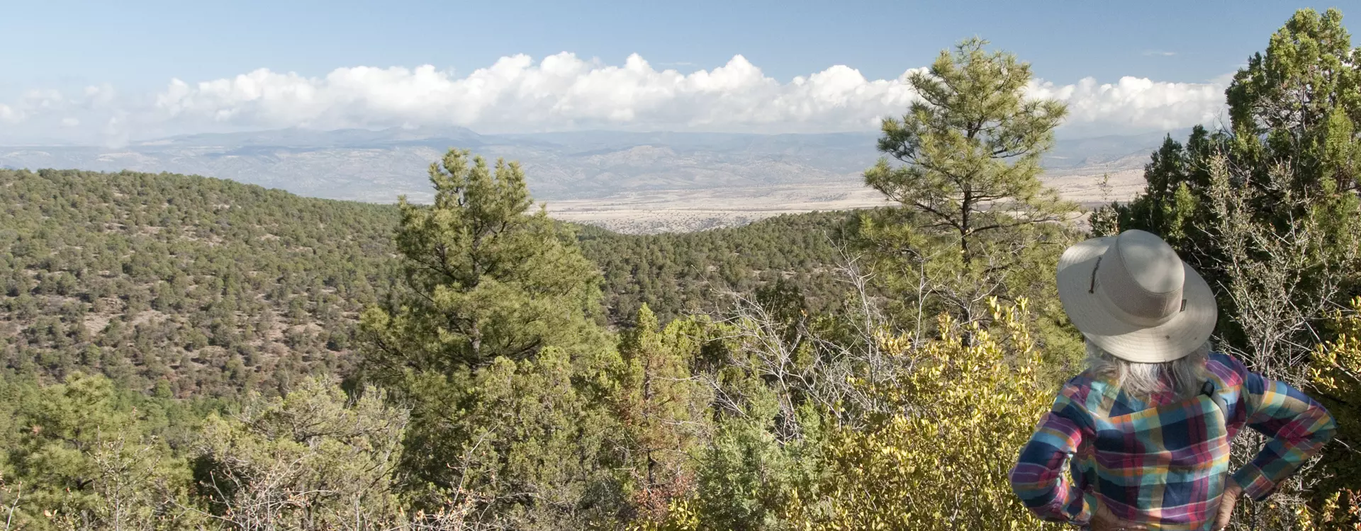 Clifton Area Hiking Trails