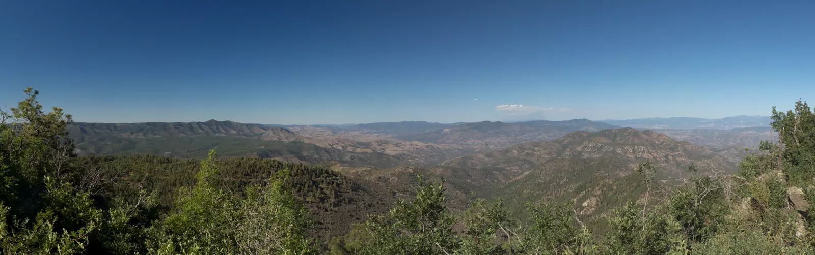 Rose Peak Panorama